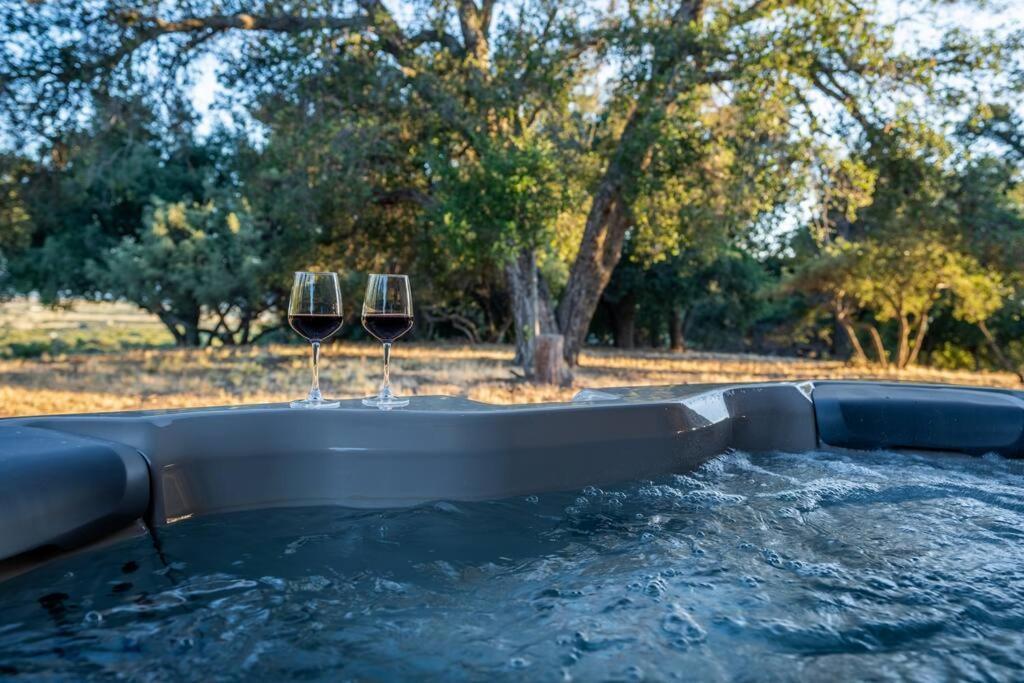 Country Cowboy Hot Tub Hideaway On 20 Acres Villa Borrego Springs Exterior photo